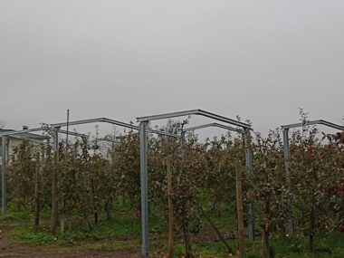 Structura panouri fotovoltaice la sol AGRO PV copertina cu 2 stalpi 2